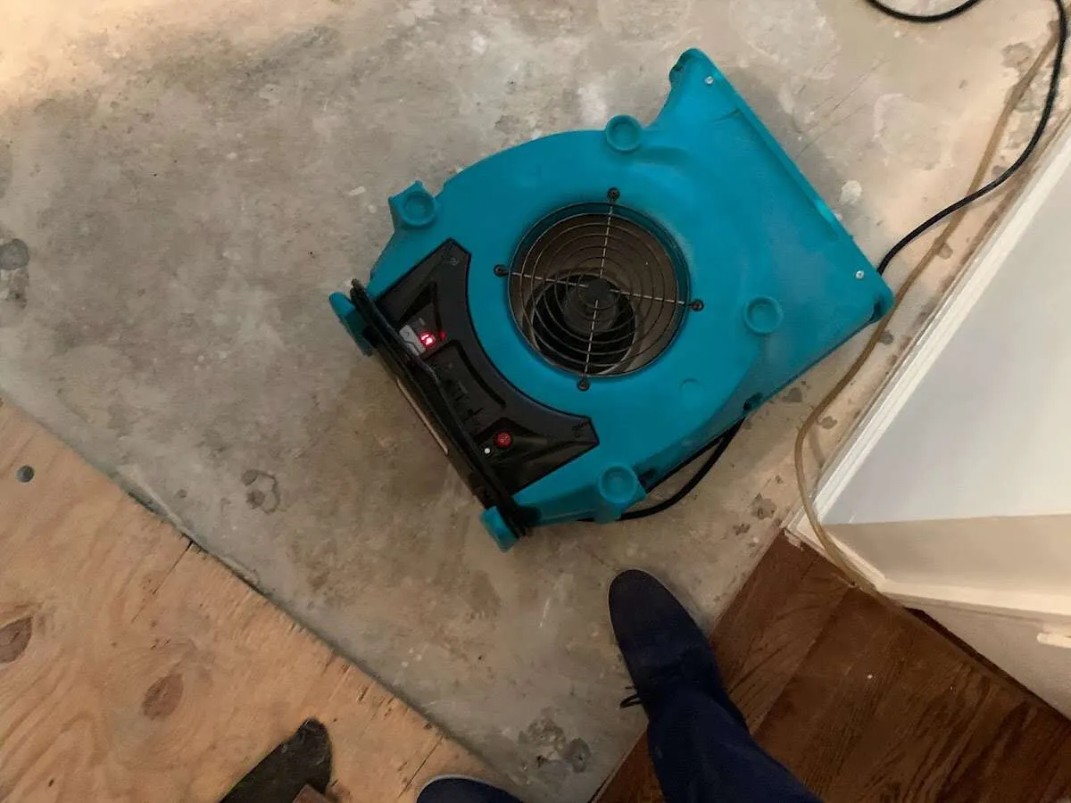 Air mover drying subfloor during Commercial Water Damage Restoration in Tukwila